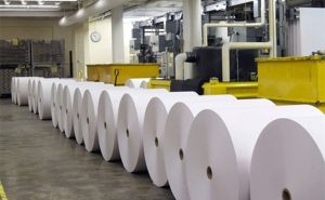 Đông Hải Bến Tre sắp chia cổ tức tỷ lệ 10% bằng tiền