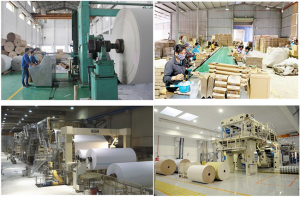 Ngành công nghiệp giấy xóa bỏ 'định kiến' gây ô nhiễm