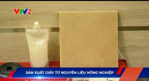 Sản xuất Giấy từ nguyên liệu nông nghiệp
