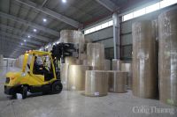 Công nghệ sinh học: Động lực xanh hóa ngành công nghiệp giấy