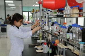 Nâng cao năng lực nghiên cứu: Thách thức không nhỏ
