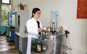 Hướng đi mới của ngành giấy