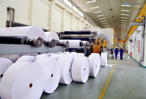 Định hướng hoạt động khoa học công nghệ cho ngành công nghiệp Giấy giai đoạn mới