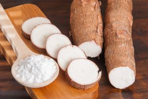 Tăng hiệu quả sản xuất tinh bột biến tính nhờ công nghệ vật lý siêu âm từ trường