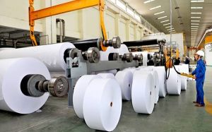 Xuất khẩu liên tục tăng, giấy Việt vẫn chiếm tỷ trọng rất nhỏ  trên thị trường