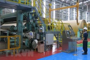 Lợi nhuận giảm tốc, doanh nghiệp bao bì giấy kỳ vọng điều gì?