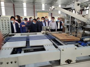 Khuyến công Bắc Ninh: Nhân rộng mô hình sản xuất các sản phẩm bao bì carton