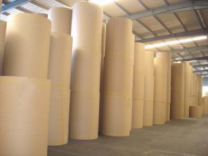 Cơ hội và thách thức đối với doanh nghiệp ngành bao bì trong bối cảnh mới