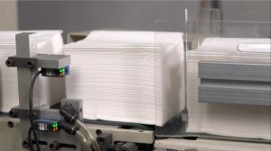 MYLAN: Thương hiệu kiến tạo giá trị cho ngành giấy Việt Nam